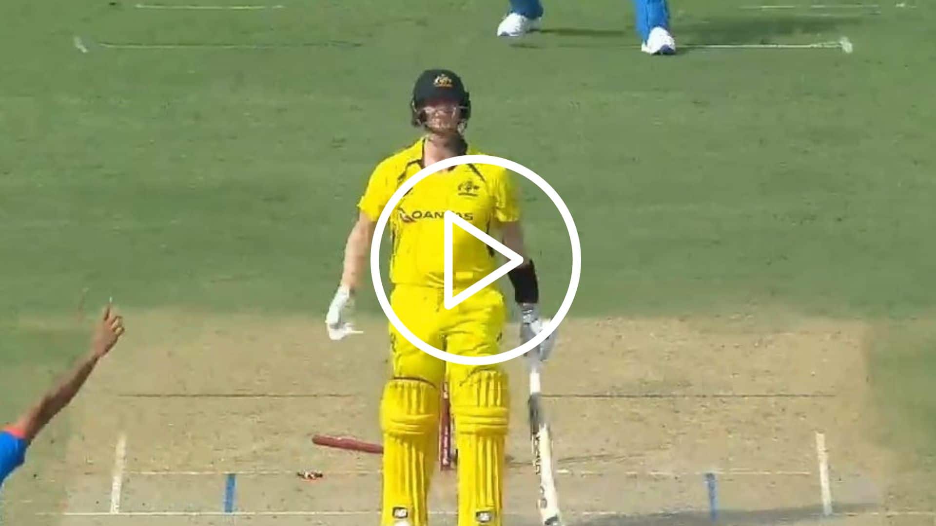[Watch] Mohammed Shami Castles Steve Smith With A ‘Venomous’ Delivery